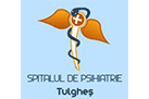 SPITAL-TULGHES