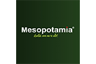 Set-Corporation( )