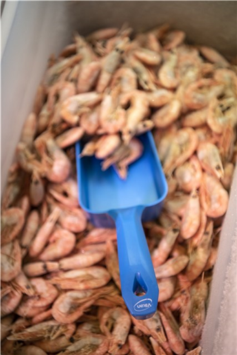 Scafa 0.5 L, metal detectabila, Vikan, albastru