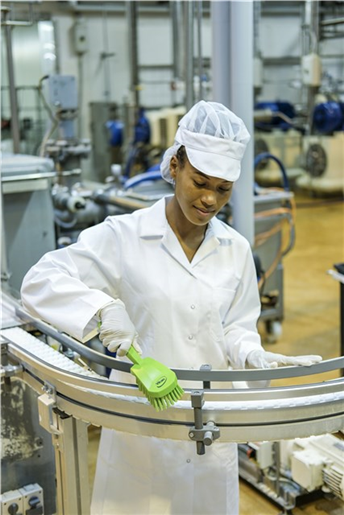 Perie cu maner scurt, peri duri, 270 mm, albastra - Vikan