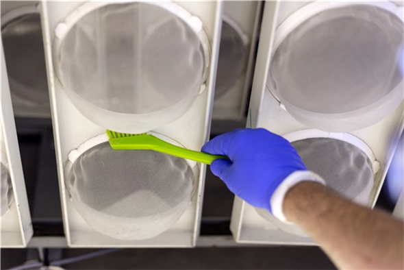 Perie ingusta cu peri extra-duri, 205 mm, albastra - Vikan