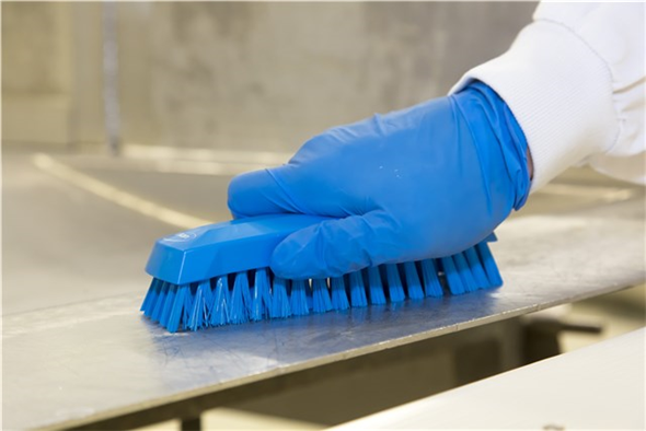 Perie de mana M, peri medii, 165 mm, albastra - Vikan