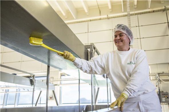 Perie cu maner lung, peri duri, 415 mm, albastra - Vikan