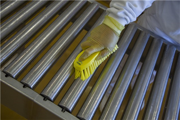 Perie de mana L, peri duri, 200 mm, albastra - Vikan