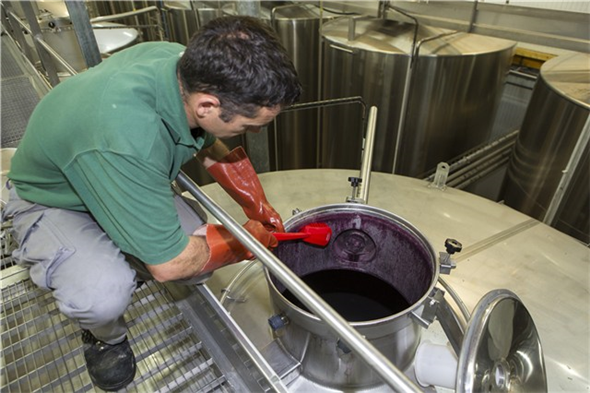 Perie cu maner lung, peri duri, 415 mm, albastra - Vikan