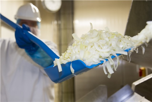 Lopata ergonomica 1310 mm, Vikan, albastru