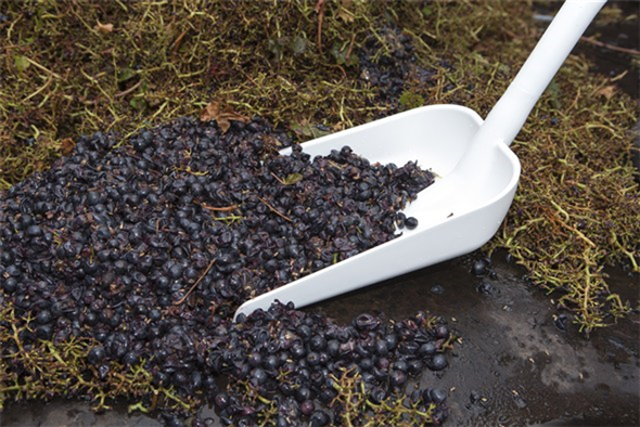 Lopata ergonomica 1280 mm, Vikan, albastru