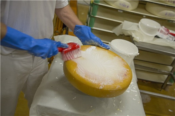 Perie cu maner scurt, peri moi/despicati, 270 mm, albastra - Vikan