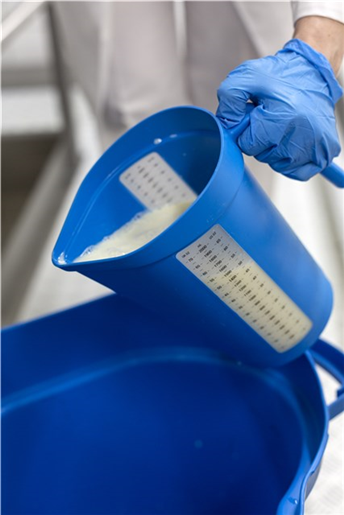 Cana gradata 2L, Vikan, galben galben