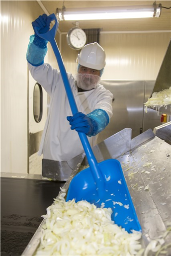 Lopata ergonomica 1310 mm, Vikan, albastru