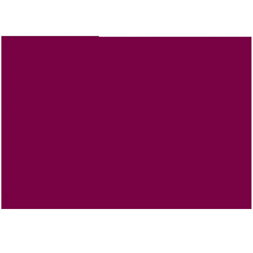 Placemat din hartie 30x40 cm, bordo - Fato bordo
