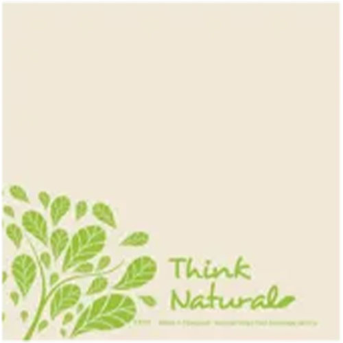 Servetele 33x33 cm 2 straturi, Natural Style - Fato 