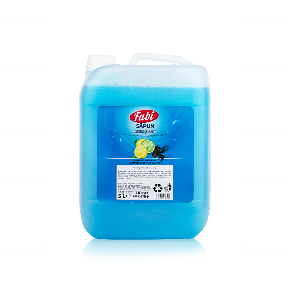 Sapun lichid albastru, 5 L - Fabi